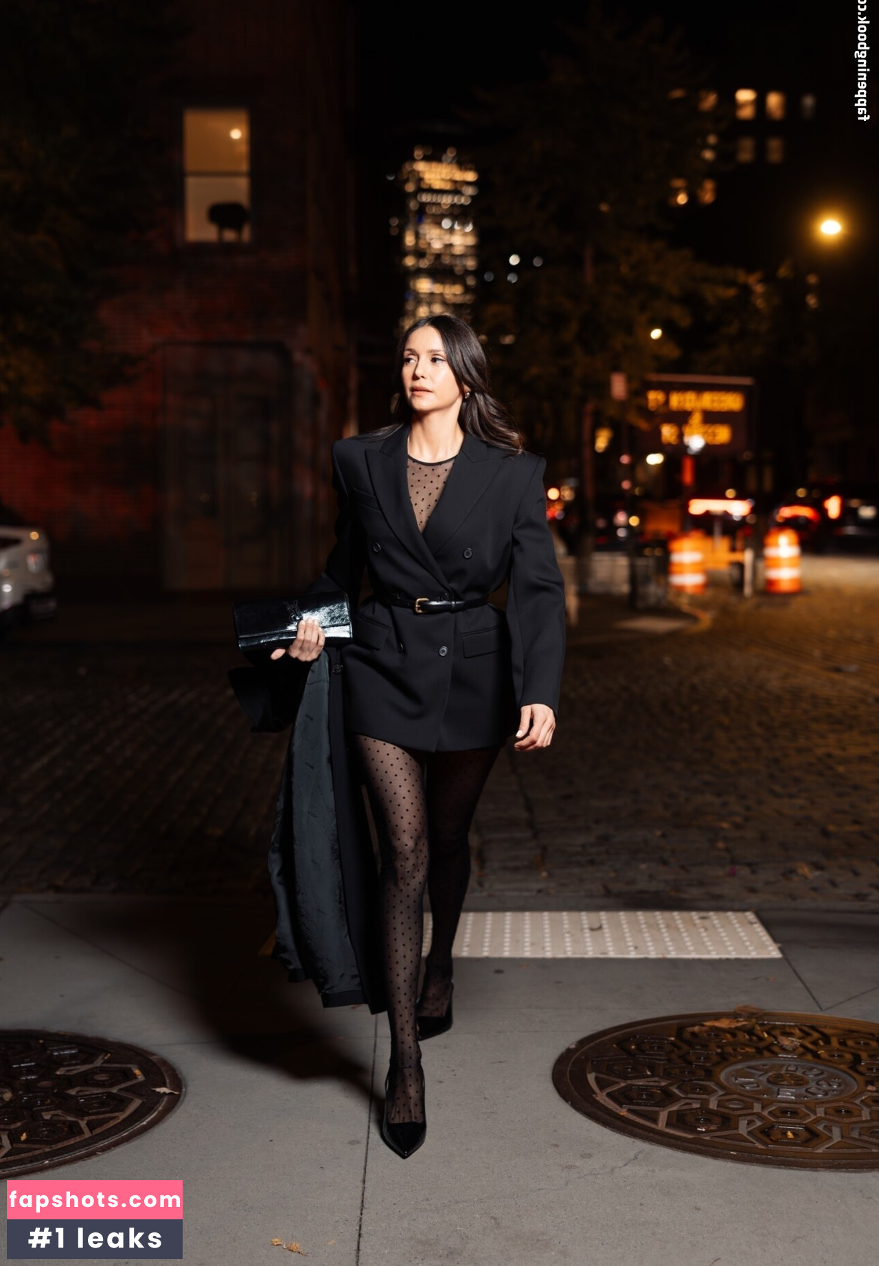 Nina Dobrev Nude Leaks OnlyFans Photos #17 - LeakJerk