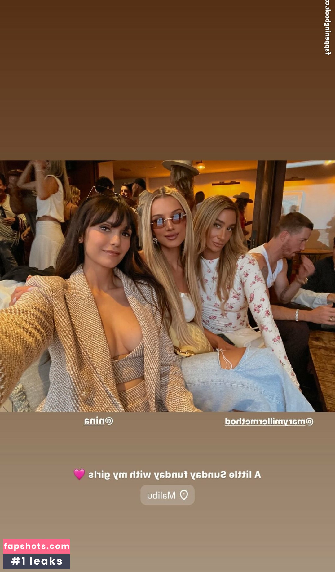 Nina Dobrev gallery photo #330