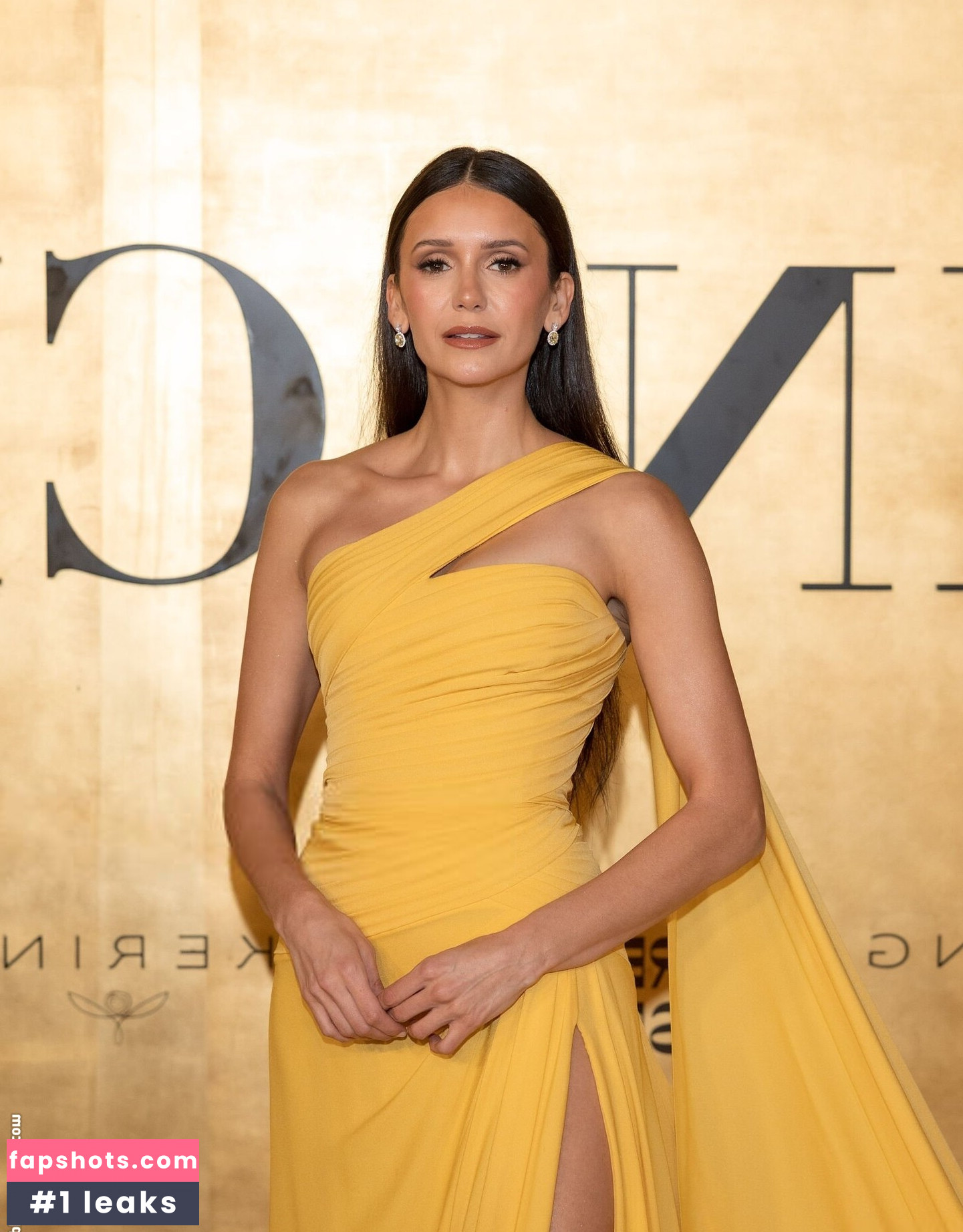 Nina Dobrev Nude Leaks OnlyFans Photos #45 - LeakJerk