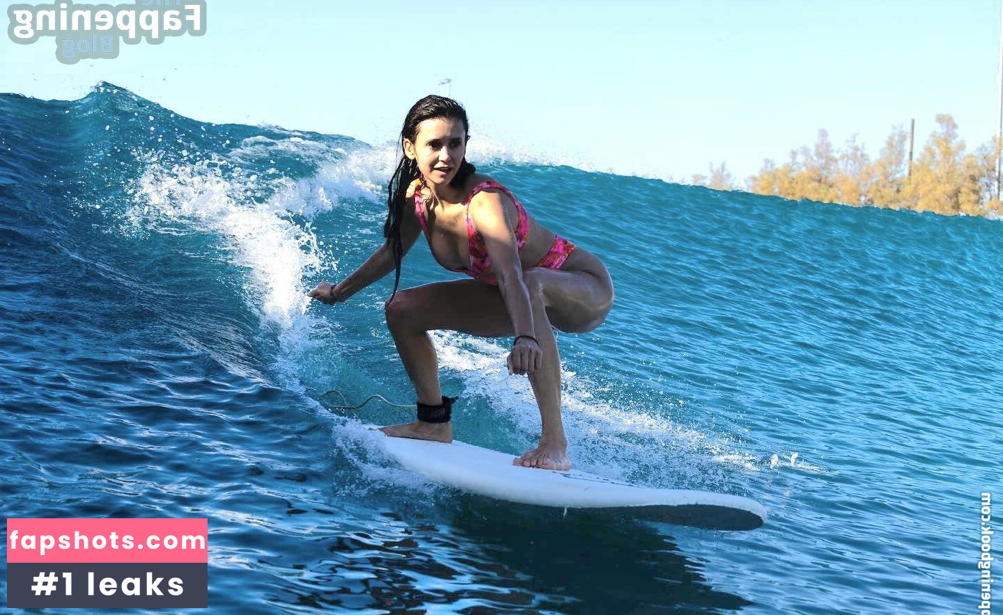 Nina Dobrev gallery photo #578