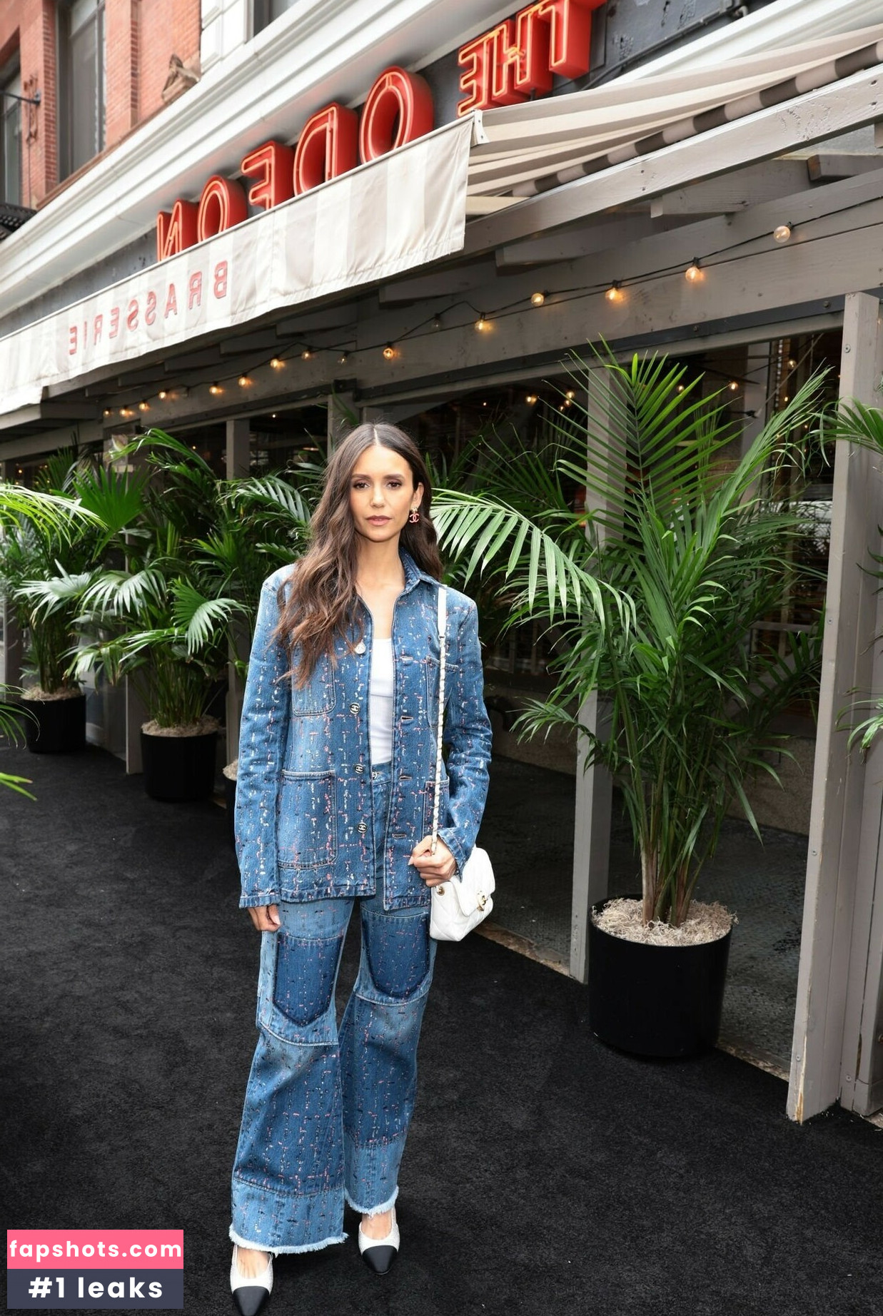 Nina Dobrev gallery photo #786