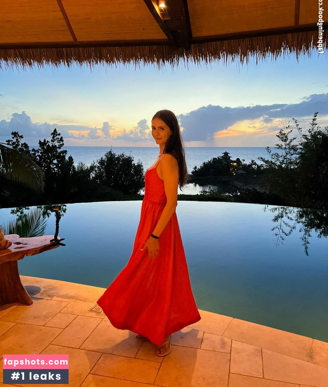 Nina Dobrev gallery photo #798