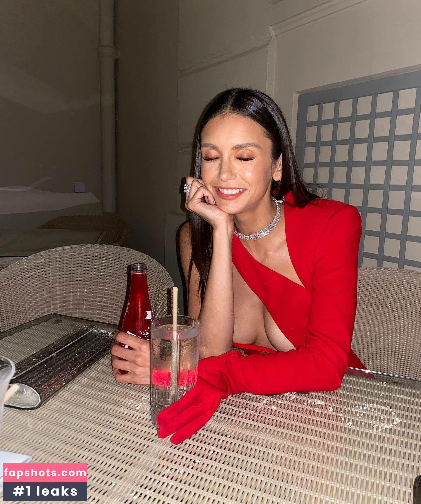 Nina Dobrev gallery photo #867