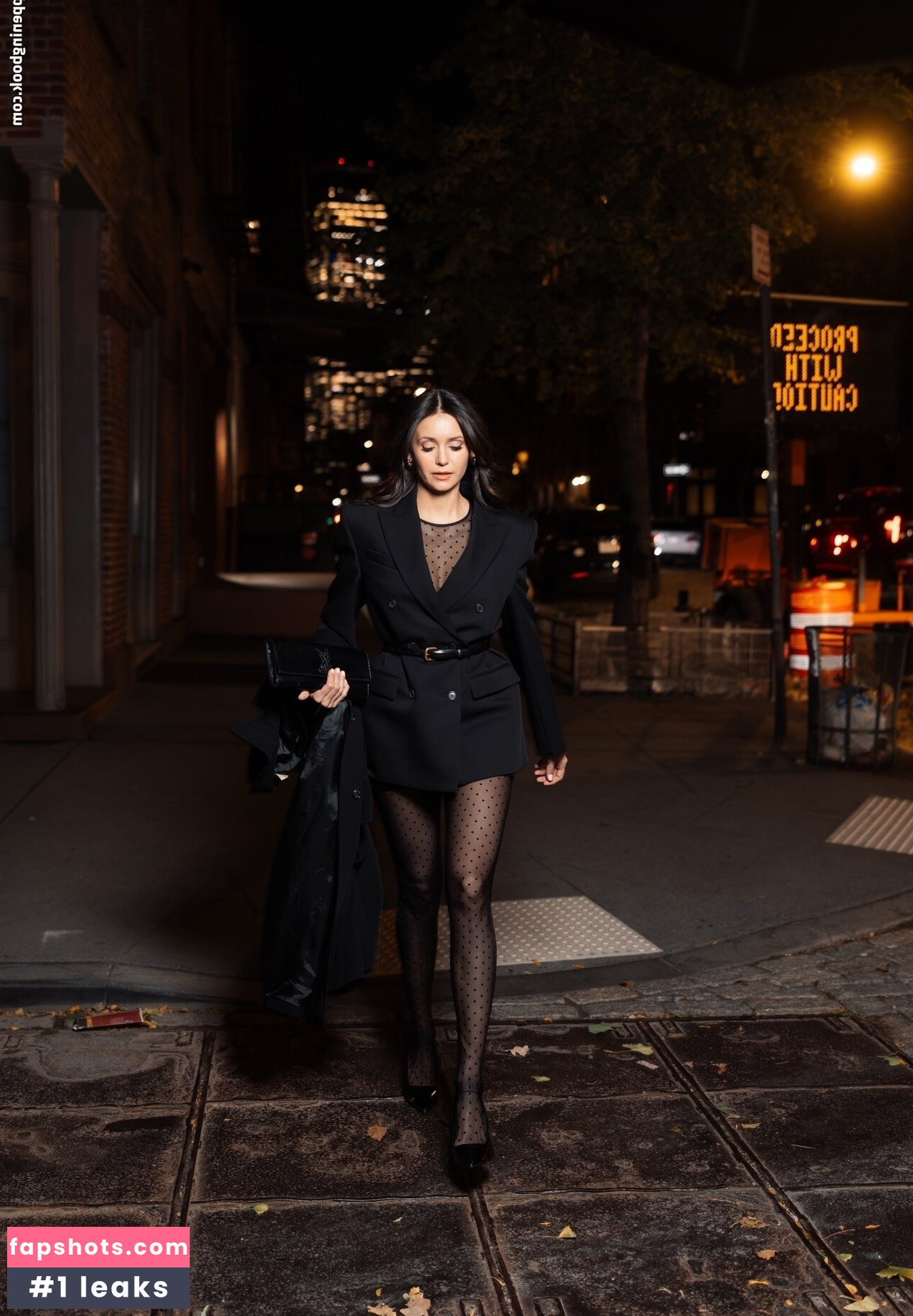 Nina Dobrev Nude Leaks OnlyFans Photos #10 - LeakJerk