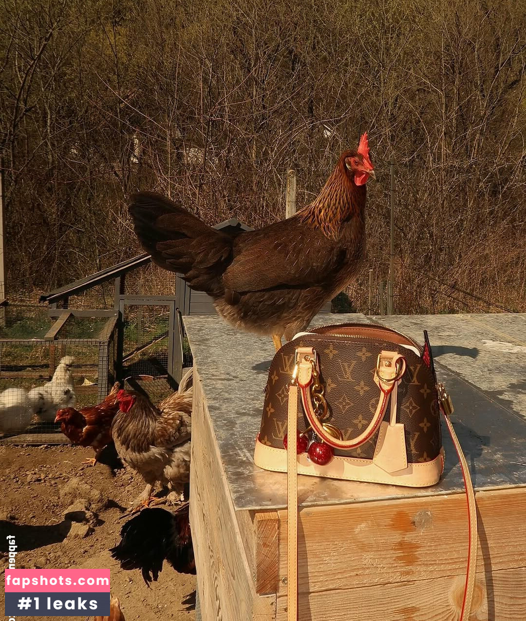 Nina Janova gallery photo #25