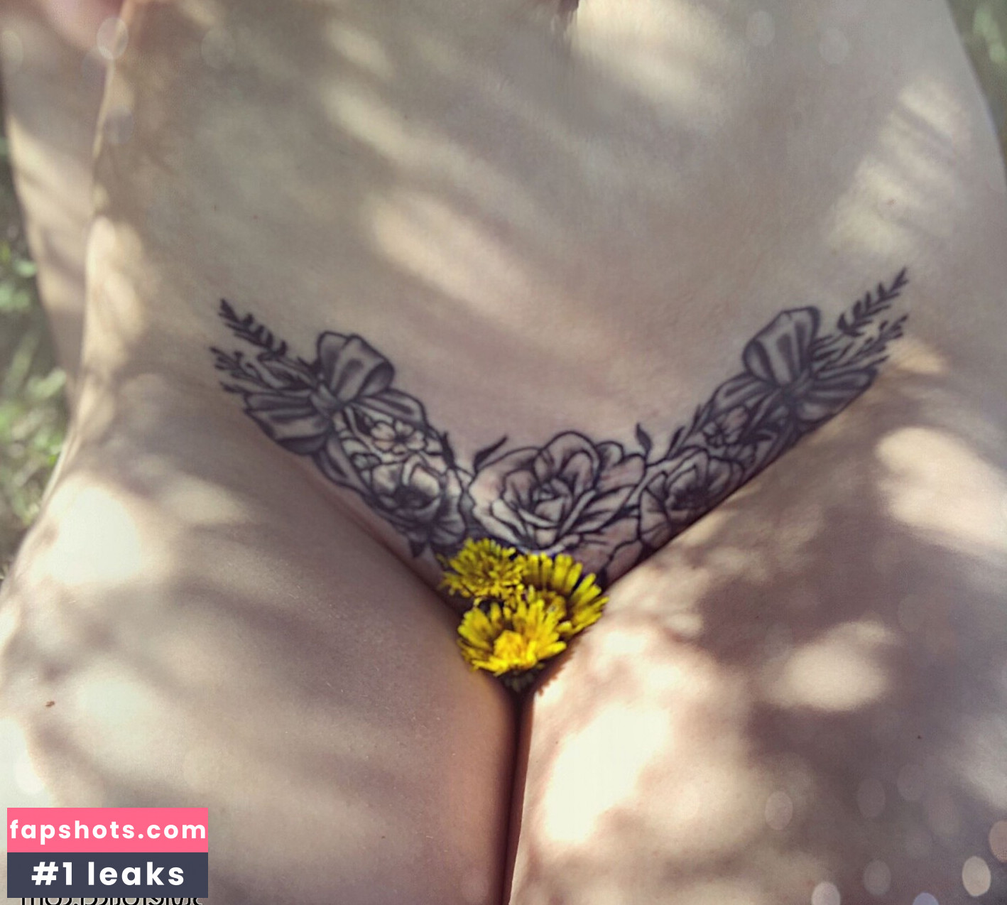 Nixyland gallery photo #3