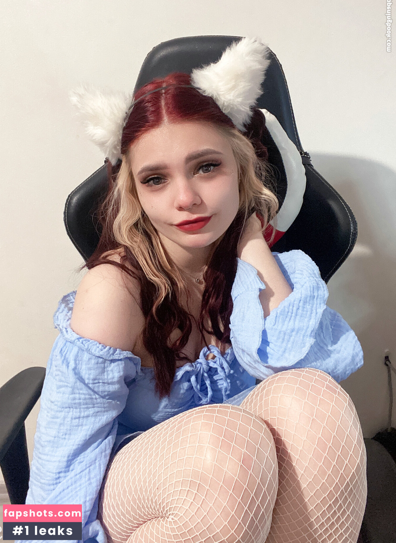 nocturna.exe gallery photo #2