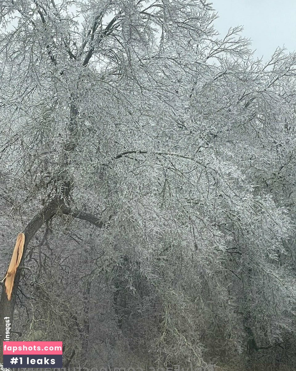 Nocturnal Virus gallery photo #3