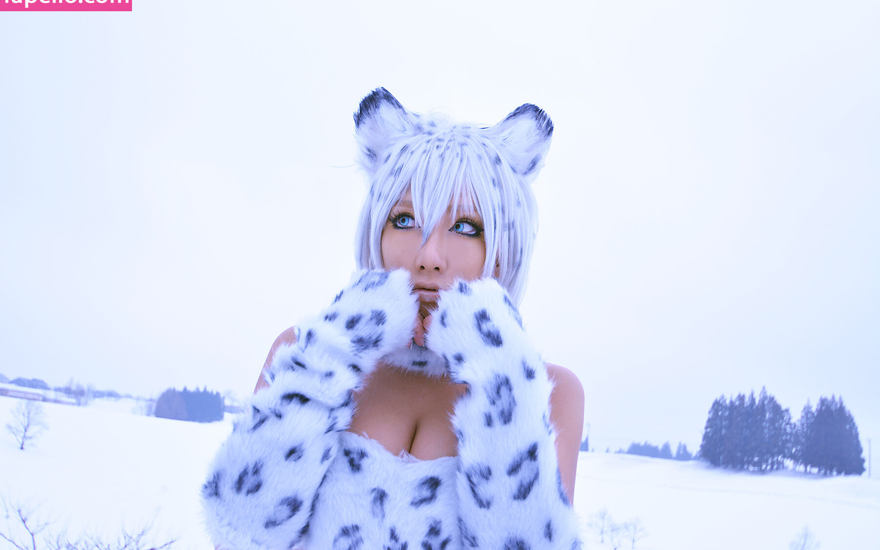 nonsummerjack gallery photo #2534