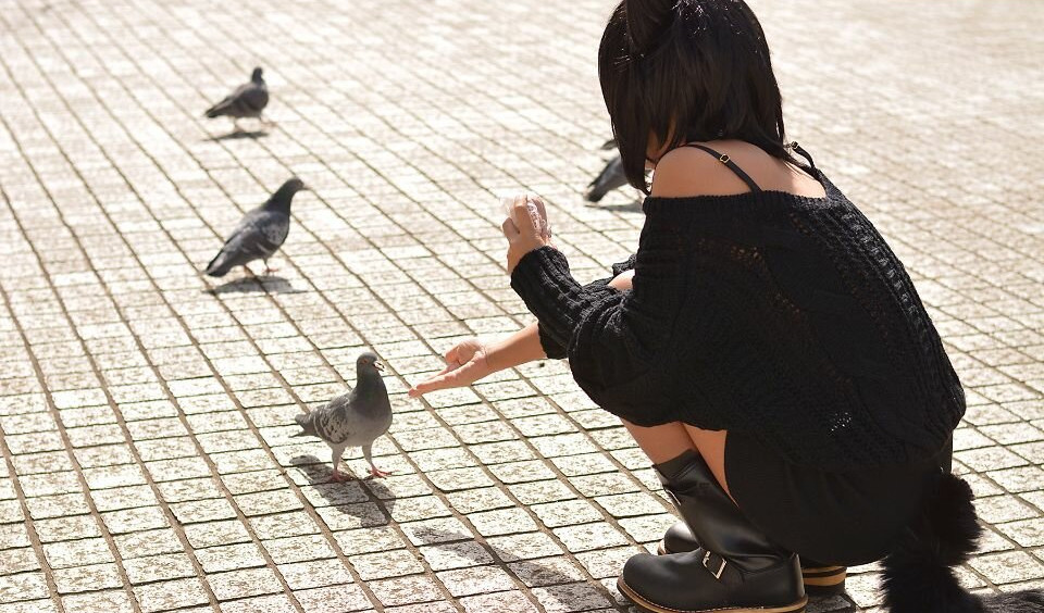 nonsummerjack gallery photo #2739