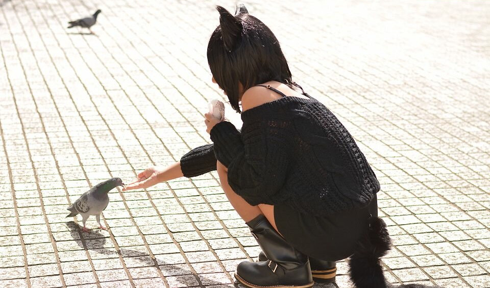 nonsummerjack gallery photo #2740