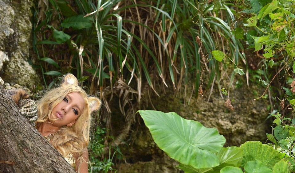 nonsummerjack gallery photo #3051