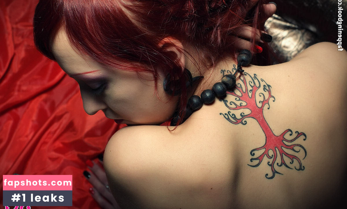 Noordelijke gallery photo #7