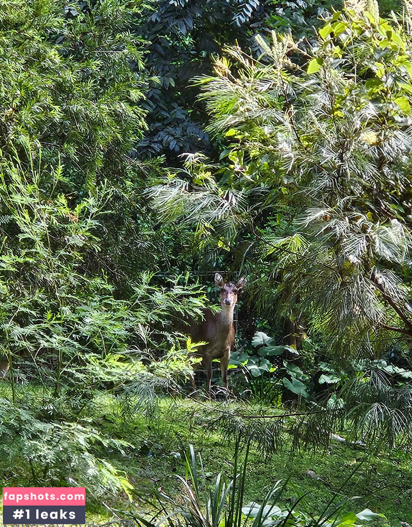 noppv.skye.yasmin2 gallery photo #16