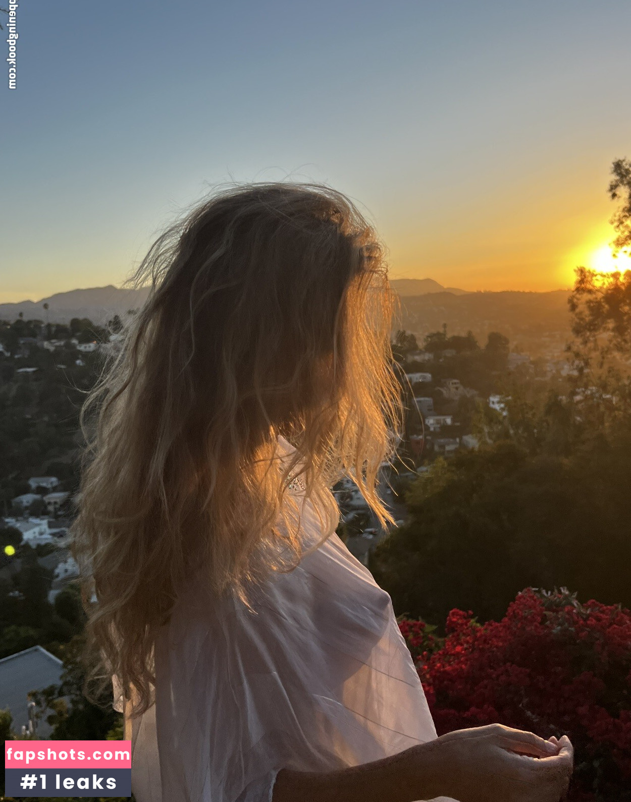 Nora Segura gallery photo #4