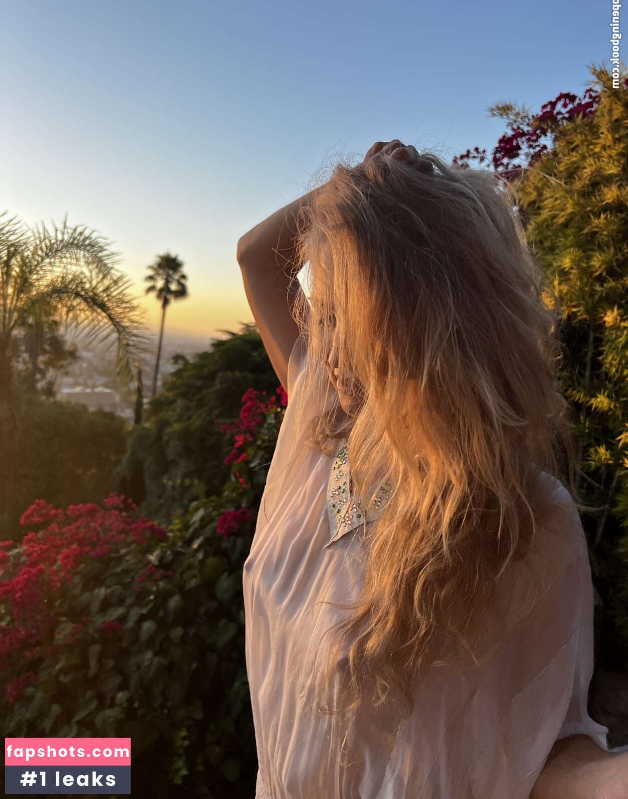 Nora Segura gallery photo #8