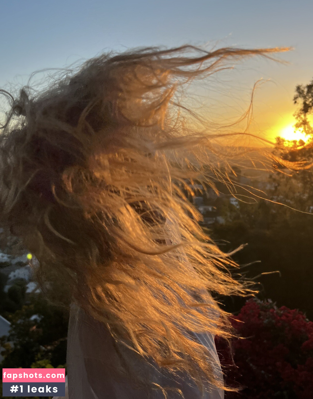 Nora Segura gallery photo #10