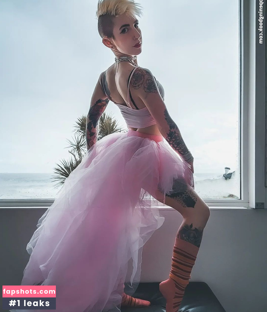 Notaprodigy gallery photo #110