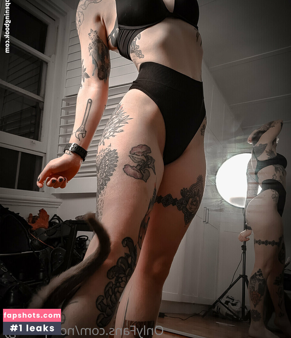 Notaprodigy gallery photo #122