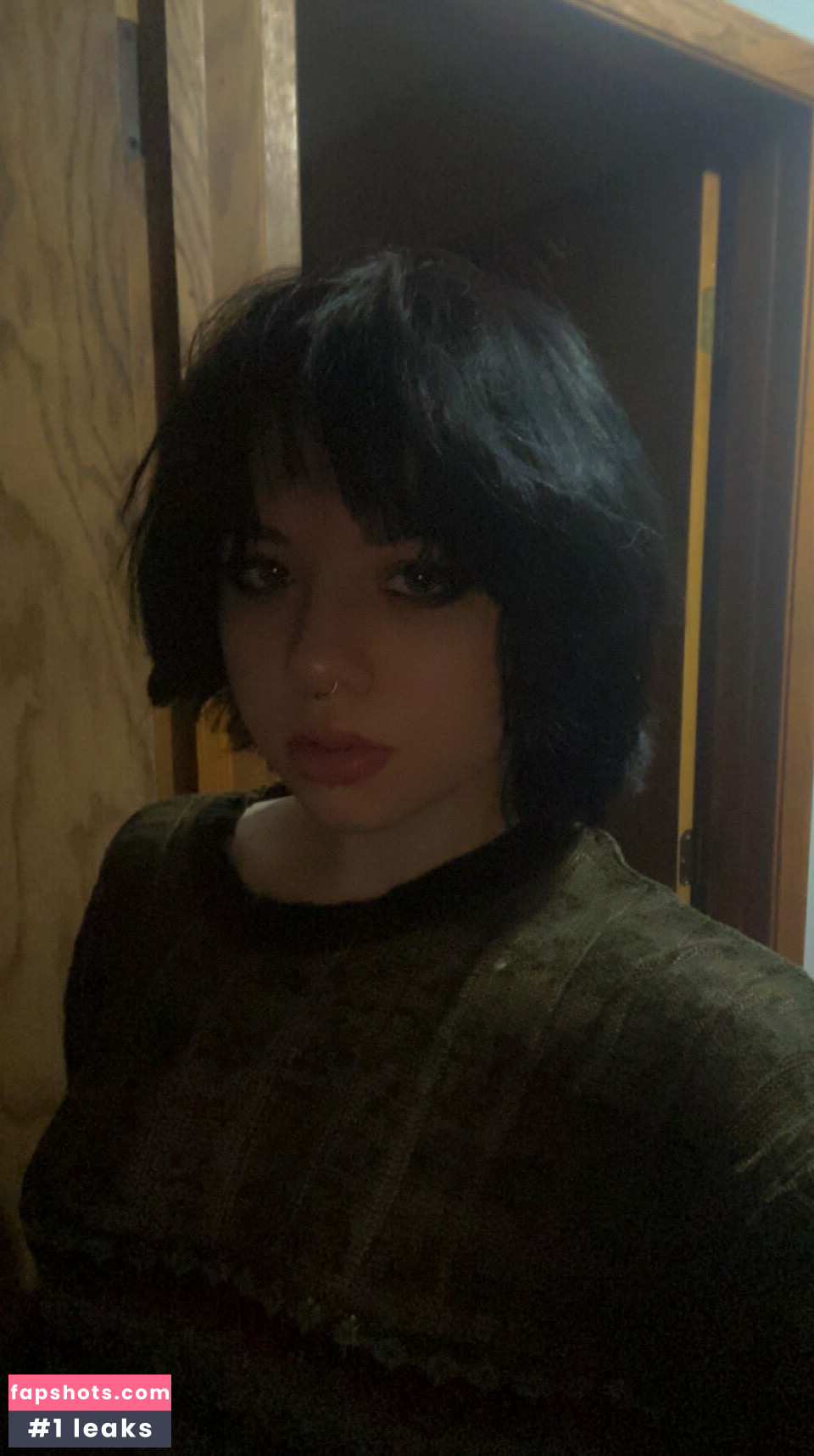 Notebookpapr Nahé úniky fotek pouze od fanoušků #54 - Fapshots