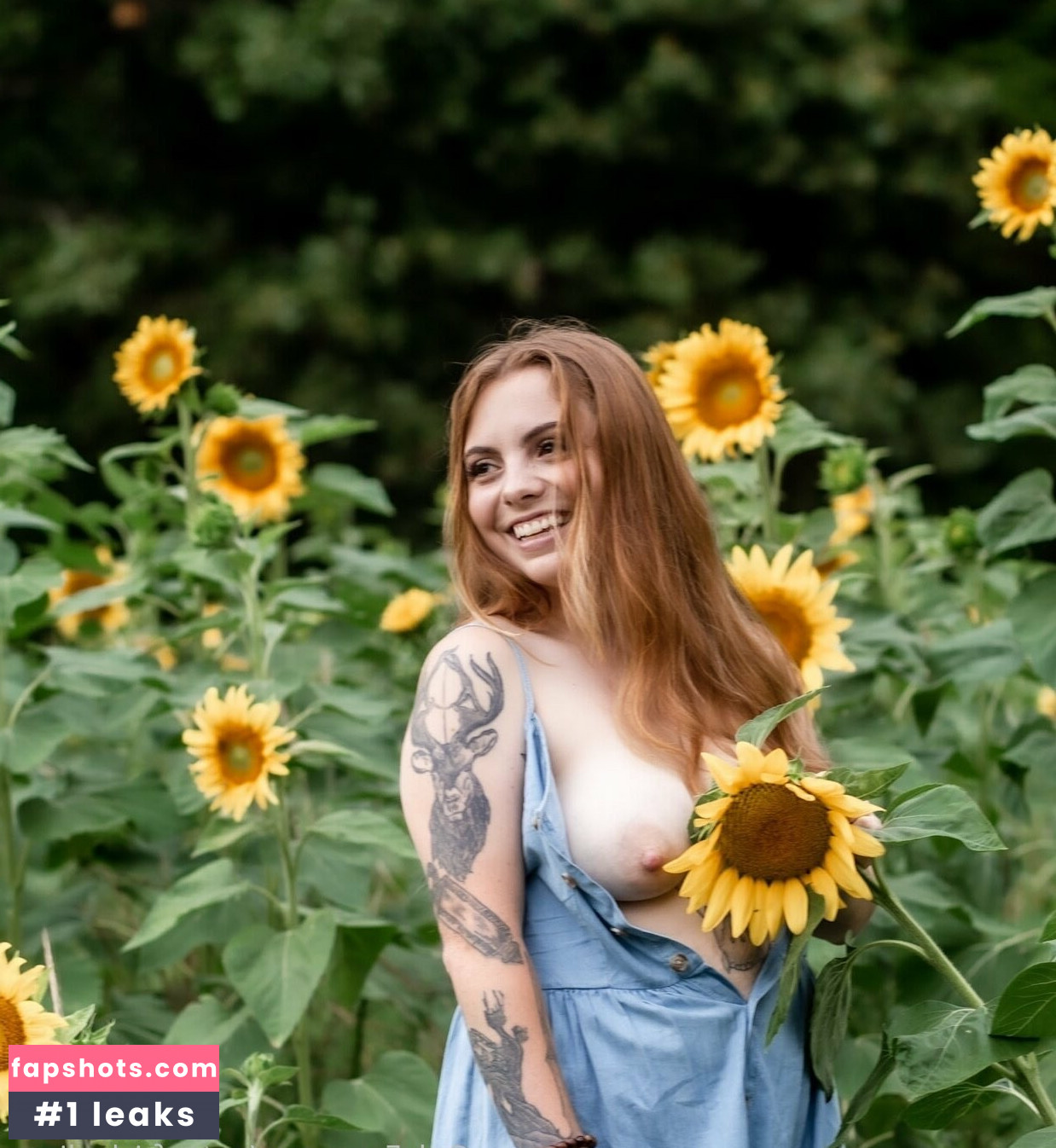 Notsofriskydingo gallery photo #9