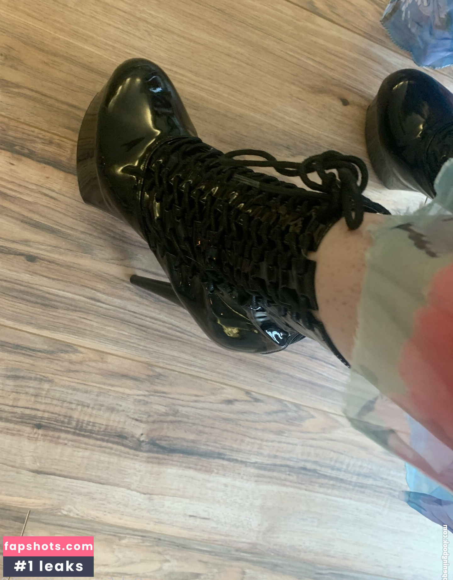 nova2.0 gallery photo #23