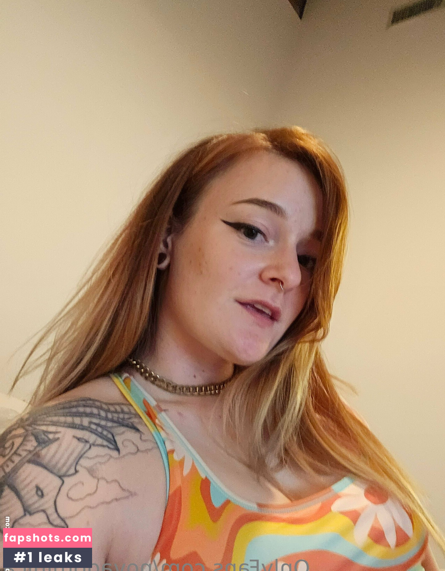 novadominica gallery photo #4