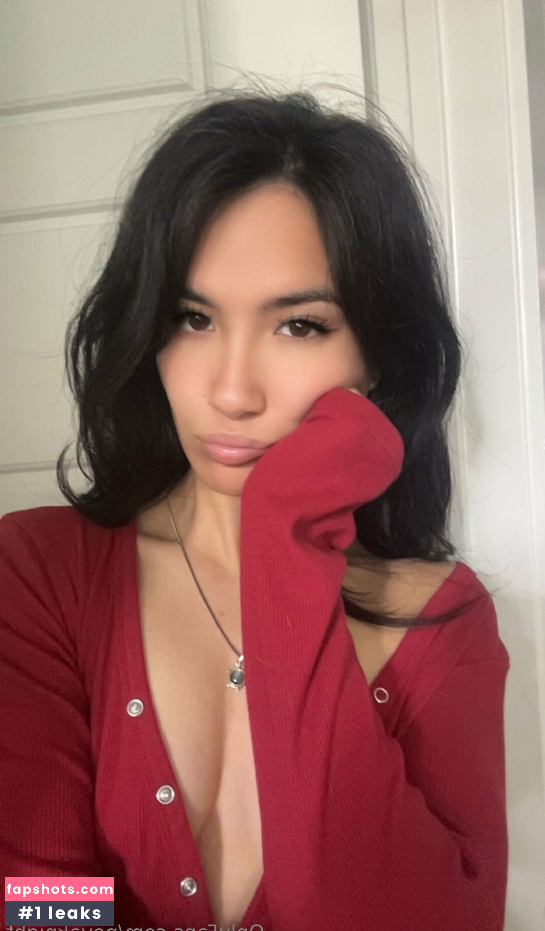 novaknight gallery photo #11