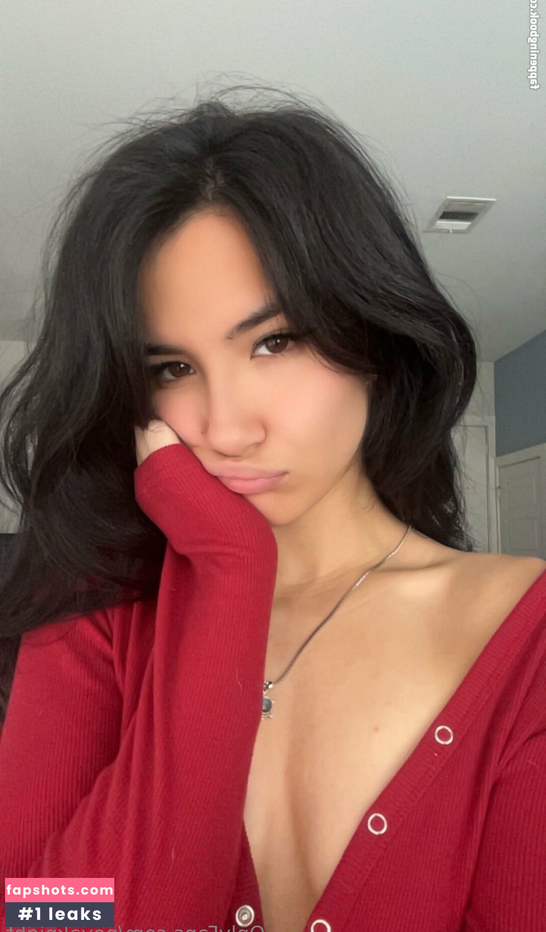 novaknight gallery photo #21