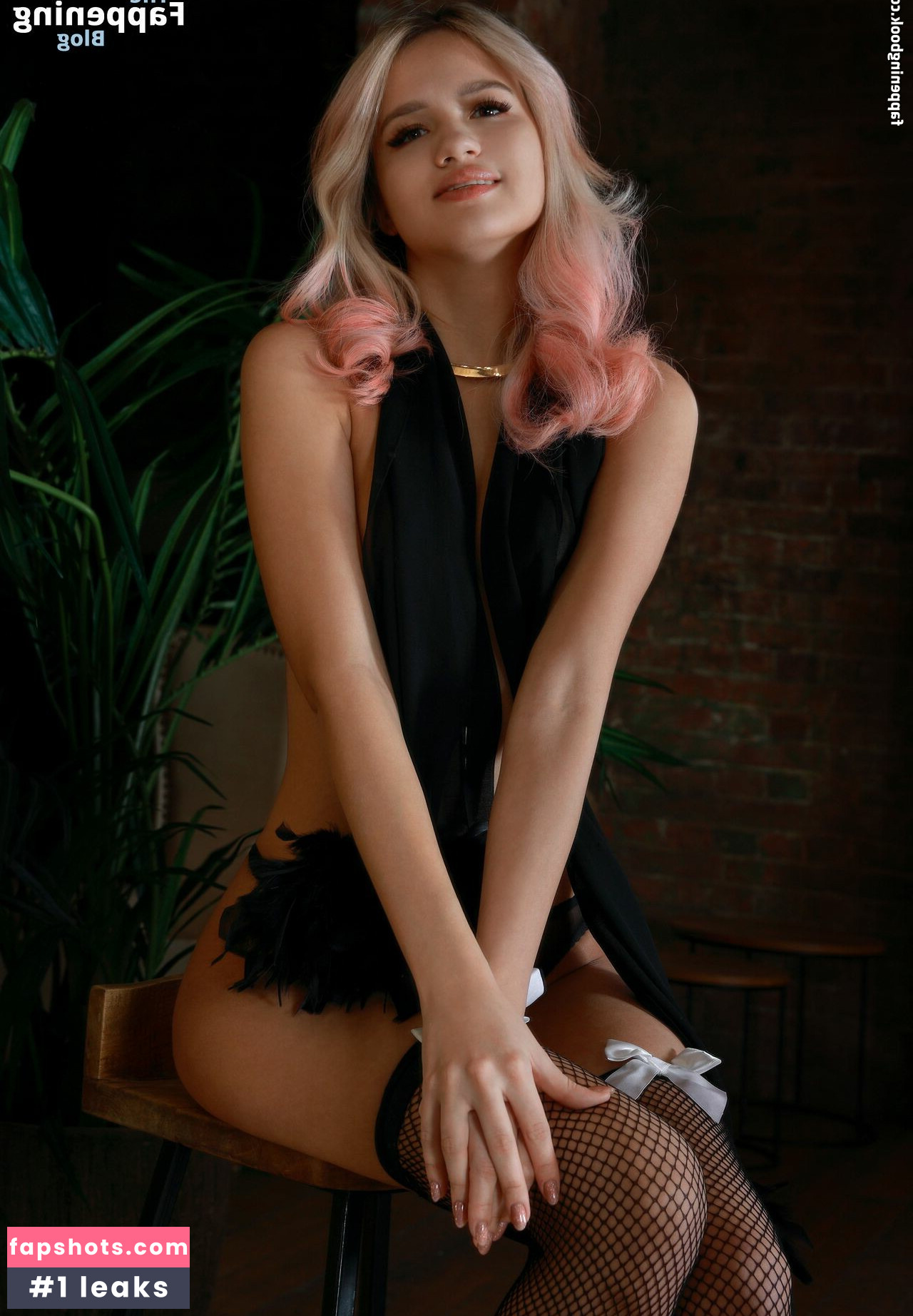 Novella Night gallery photo #114