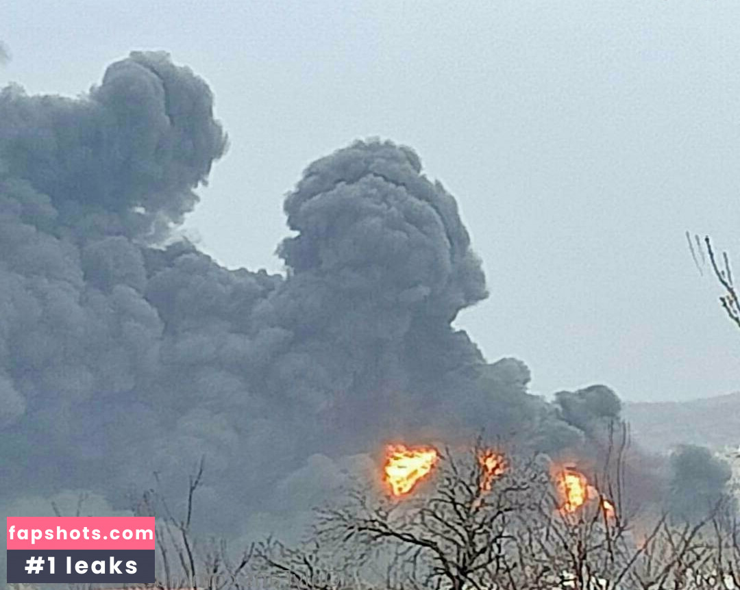 nutscracker8306 gallery photo #11