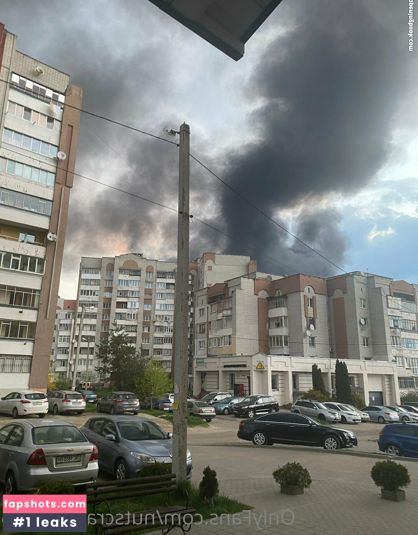 nutscracker8306 gallery photo #12