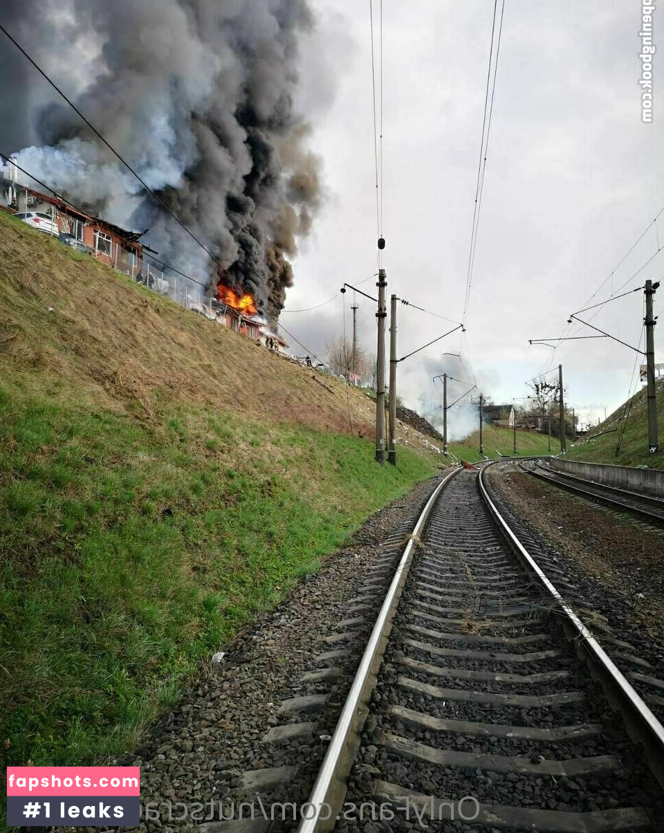 nutscracker8306 gallery photo #15