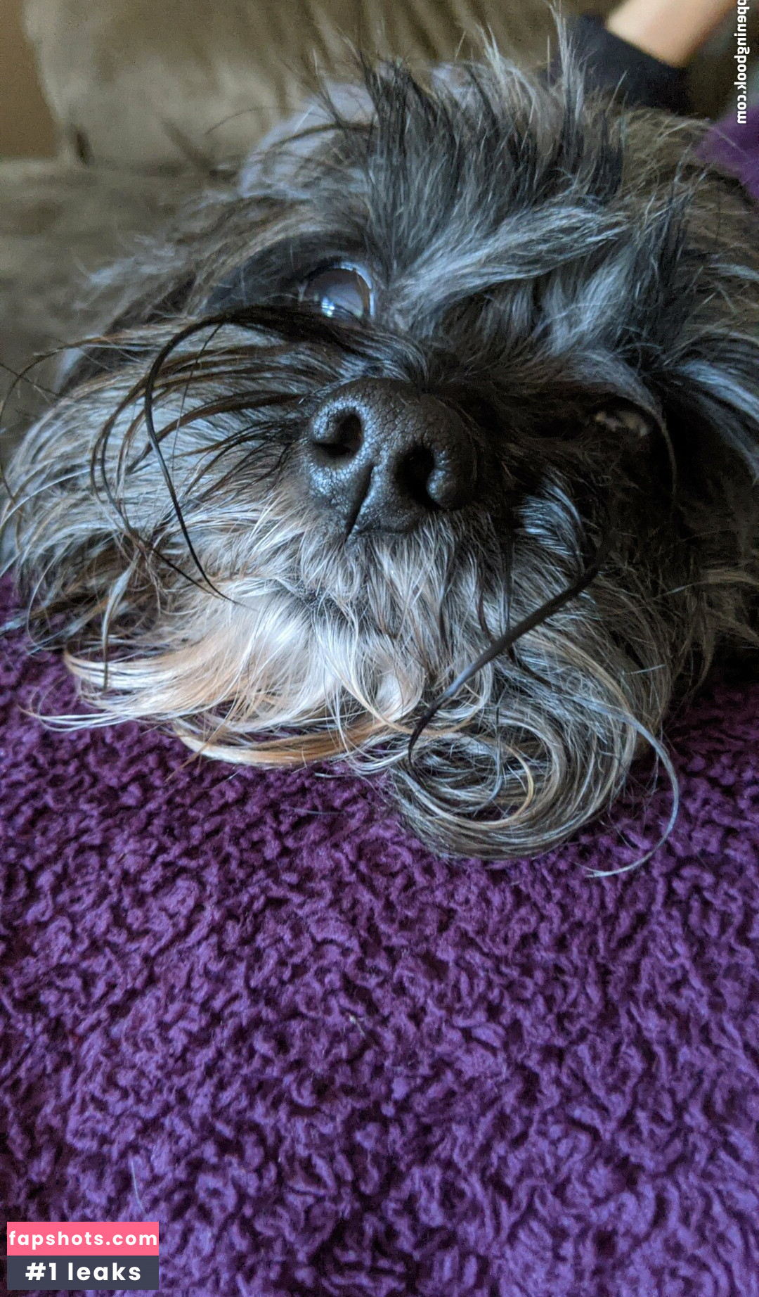 nyaomaruu gallery photo #23