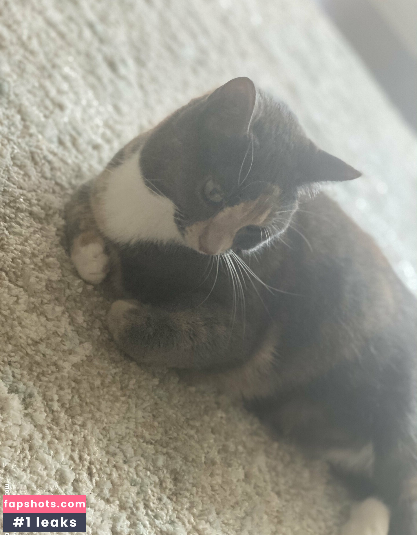 nyxiedust Nahé úniky fotek pouze od fanoušků #13 - Fapshots