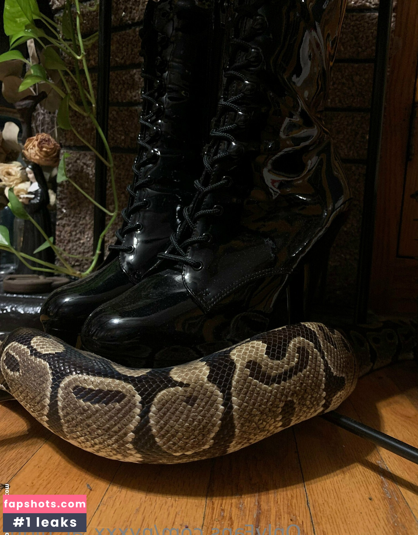 nyxxx_at_night gallery photo #34