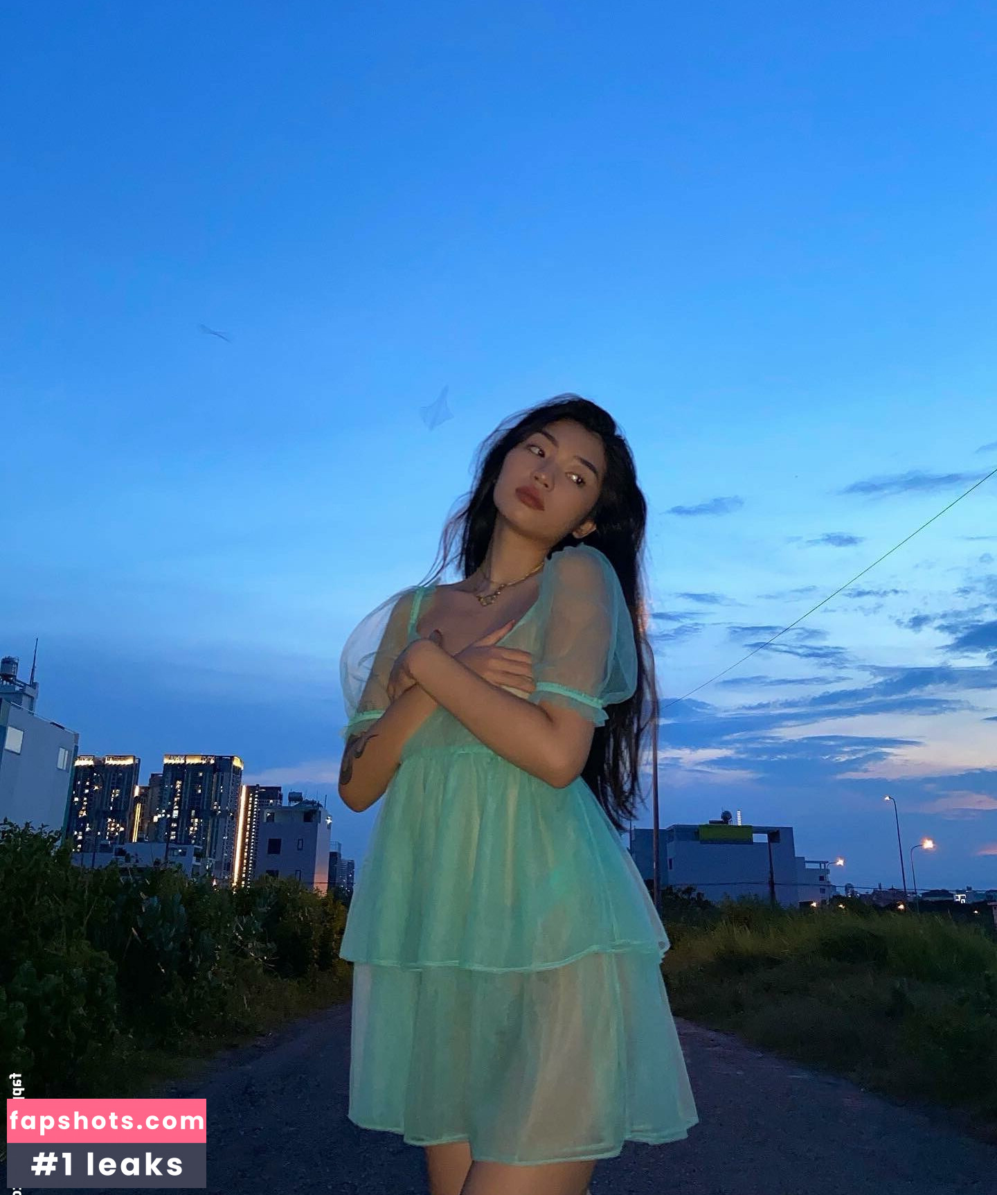 Oanhdaqueen Nude Leaks OnlyFans Photos #49 - LeakJerk