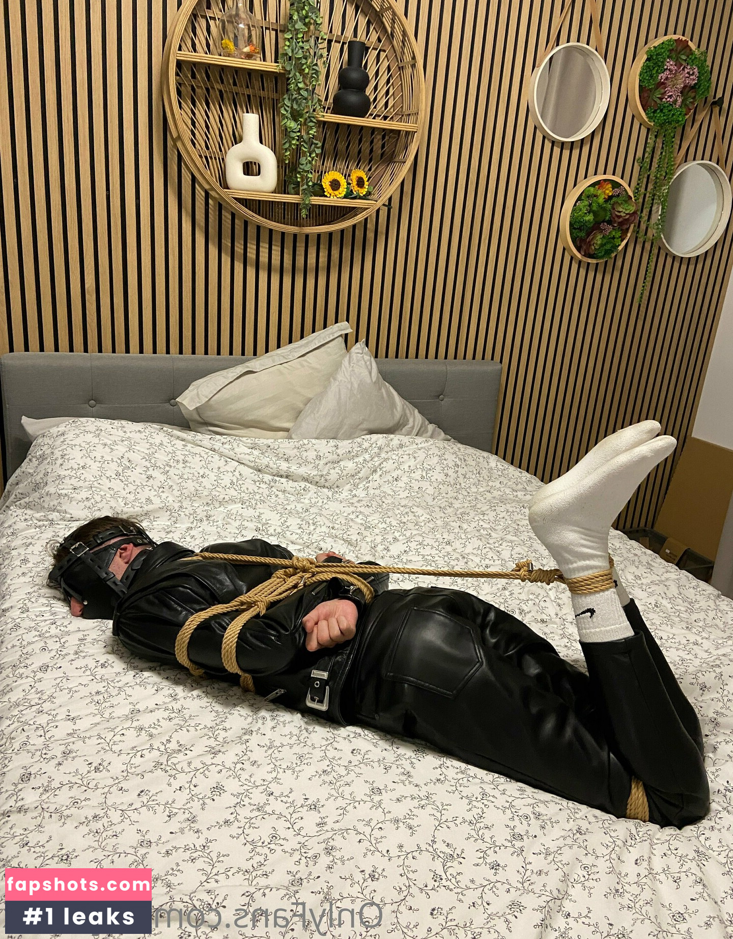 objectxx gallery photo #12