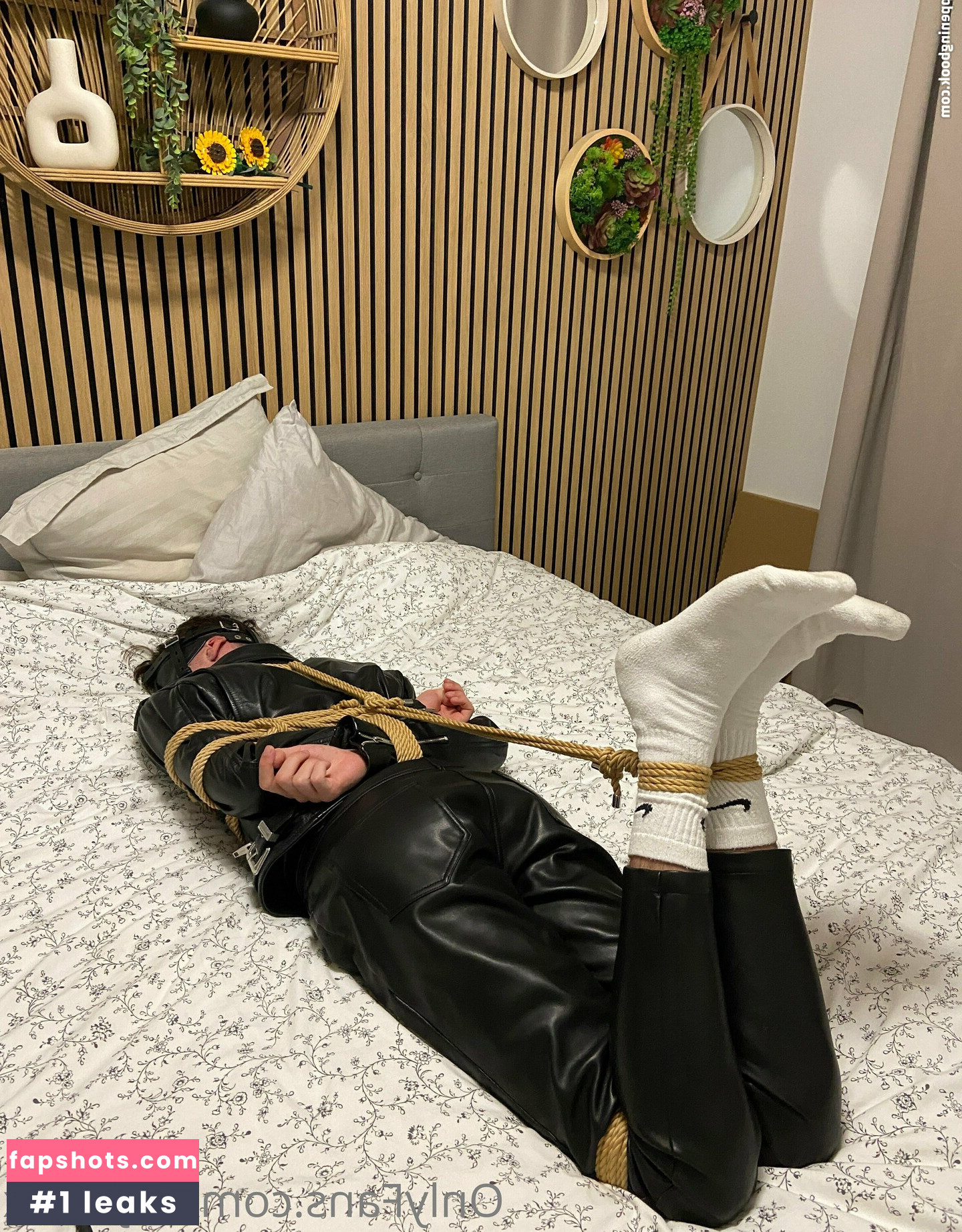 objectxx gallery photo #7