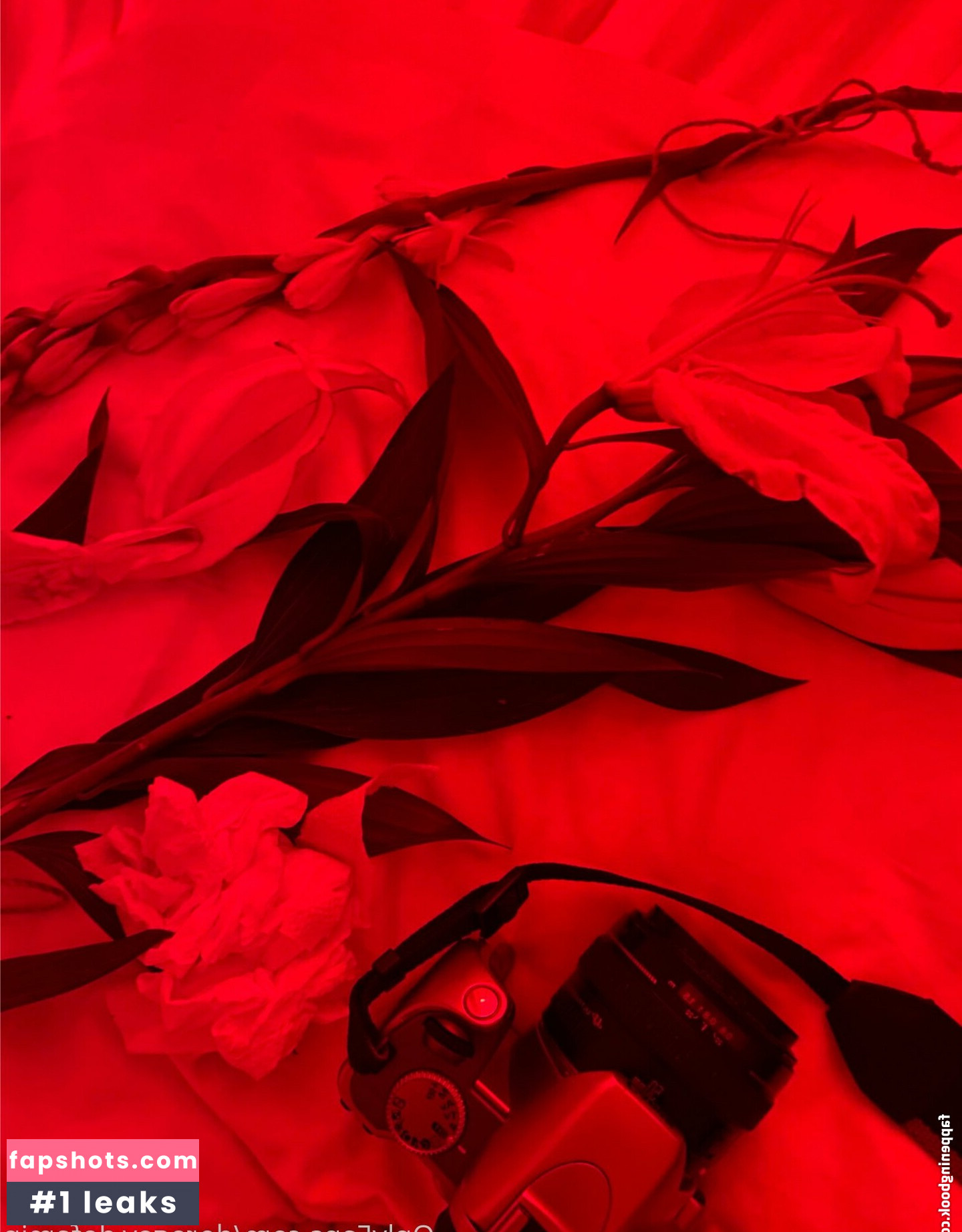 obs.cure gallery photo #10