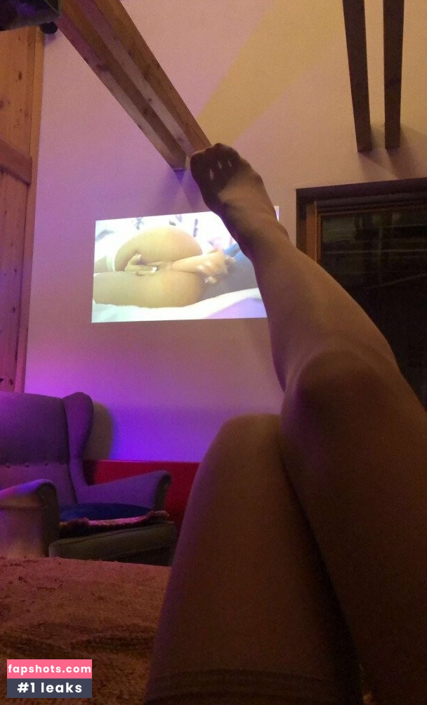 Ocicat gallery photo #103