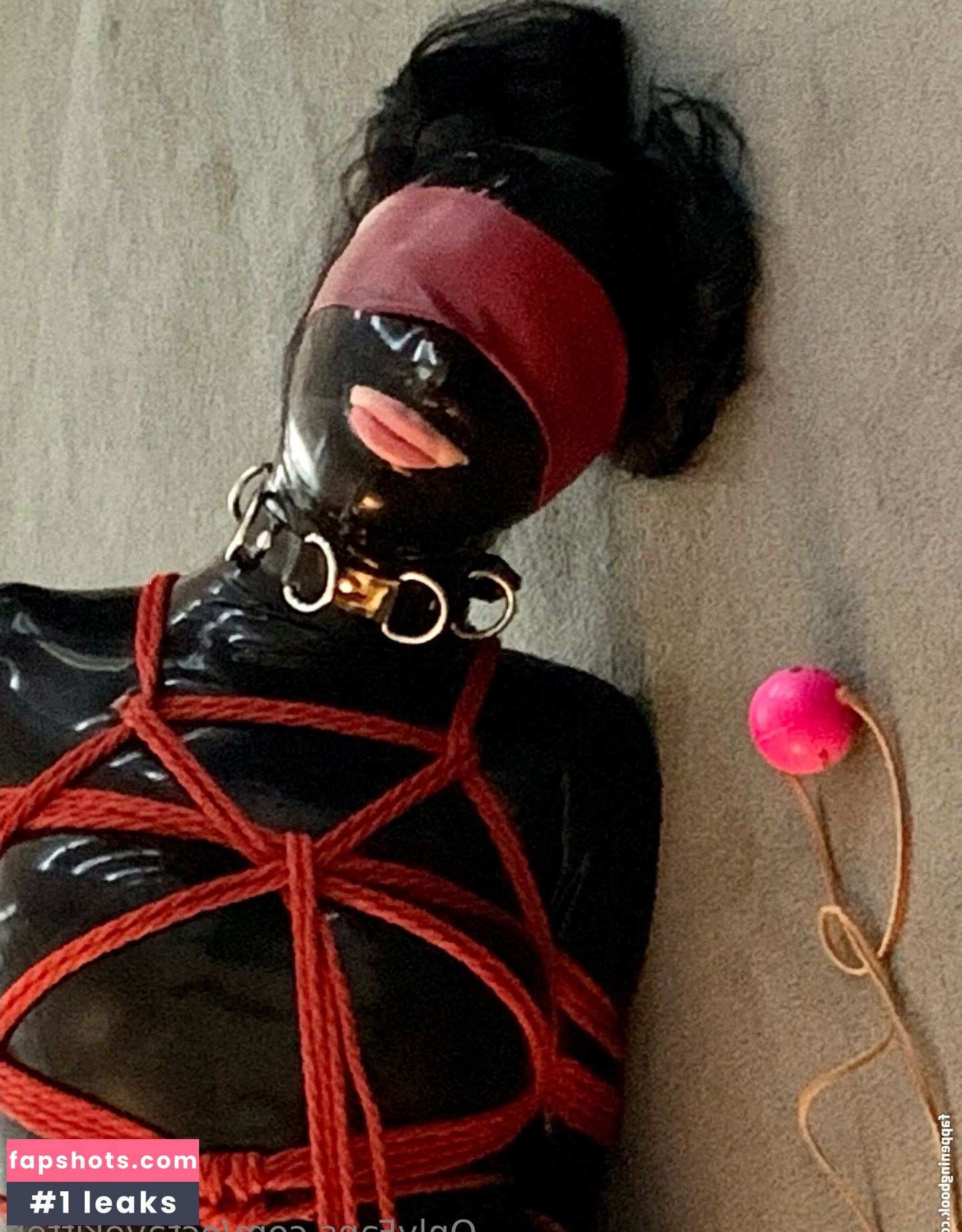 octavekitten gallery photo #17