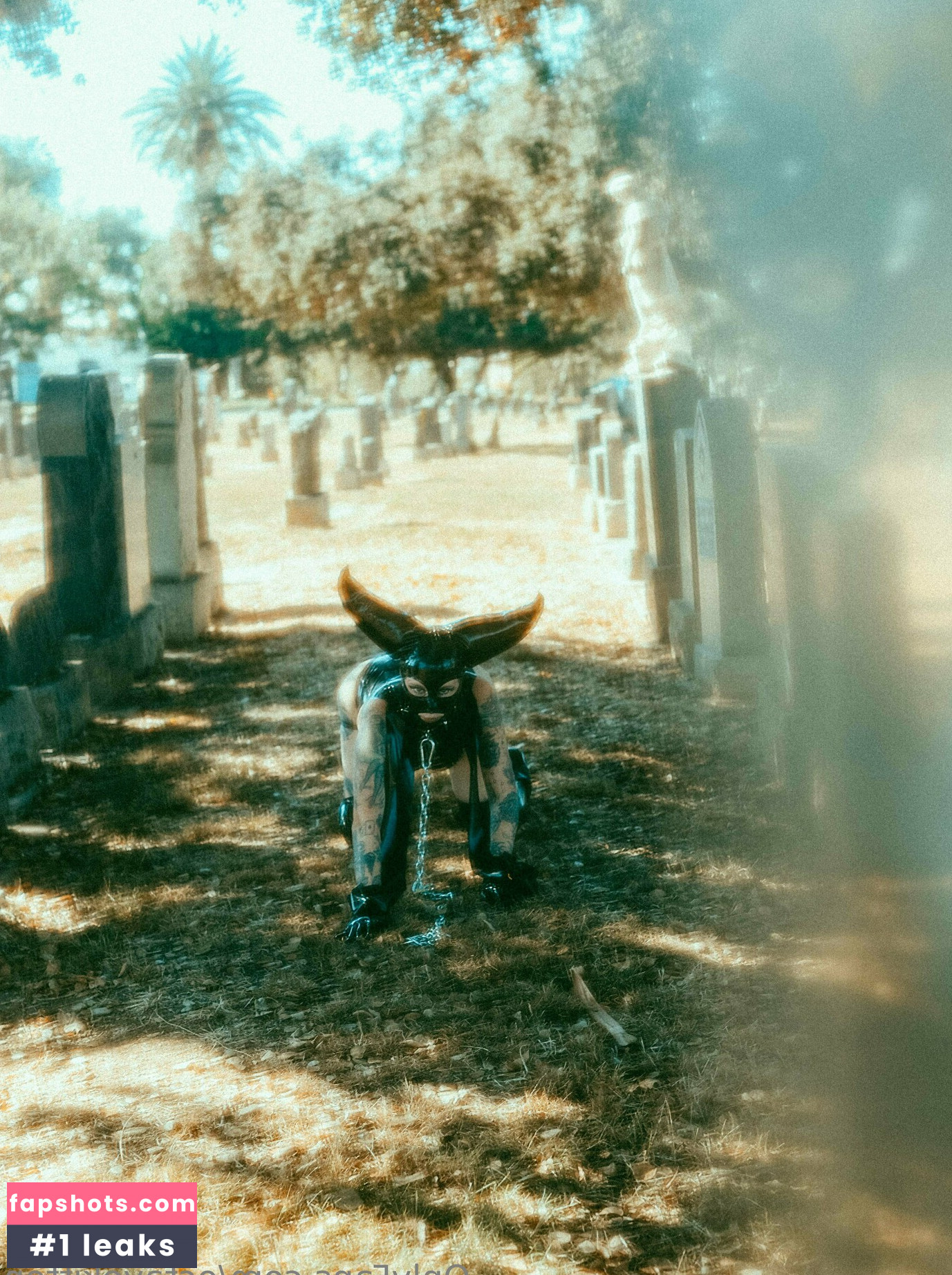 octavekitten gallery photo #19