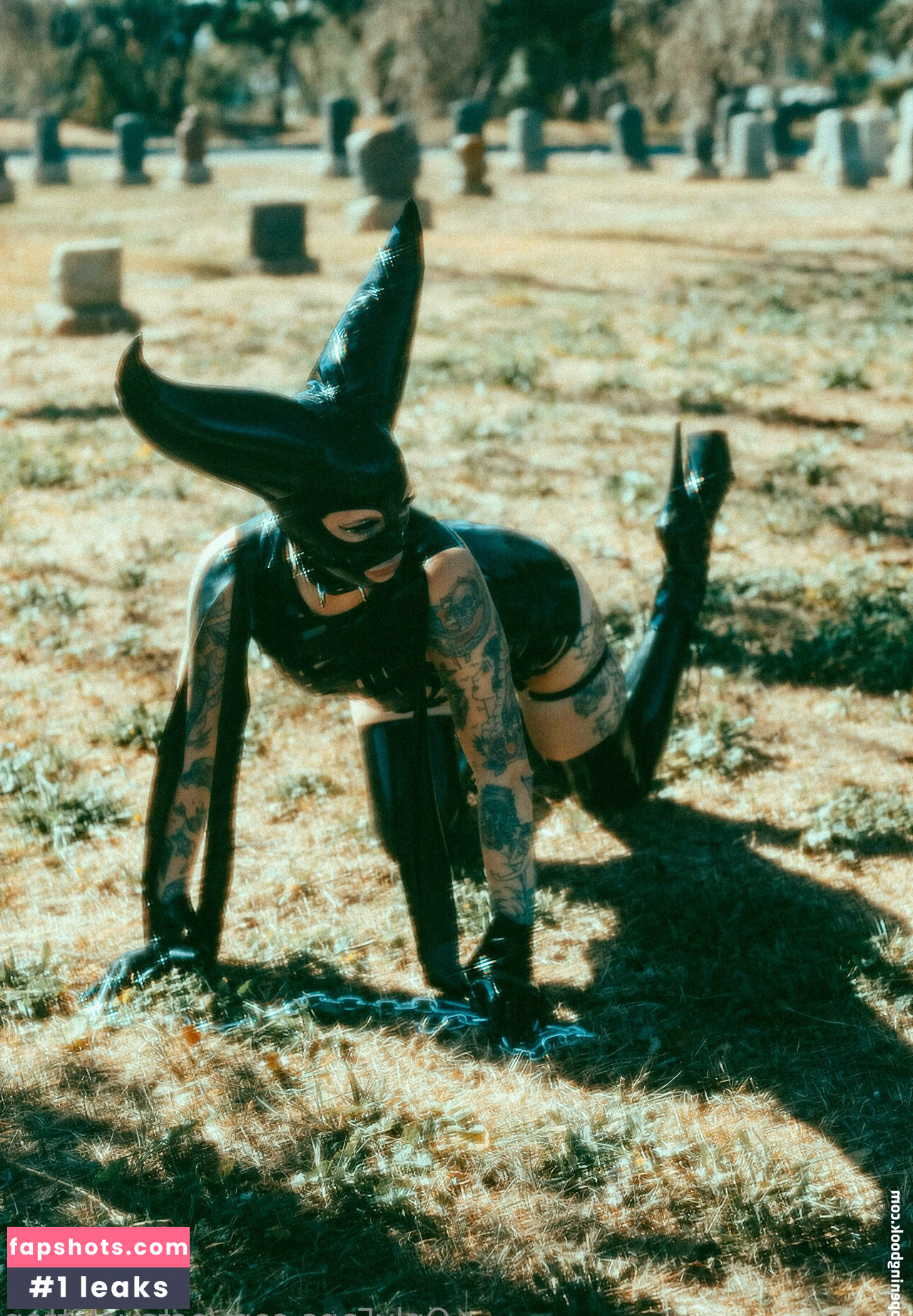 octavekitten gallery photo #8