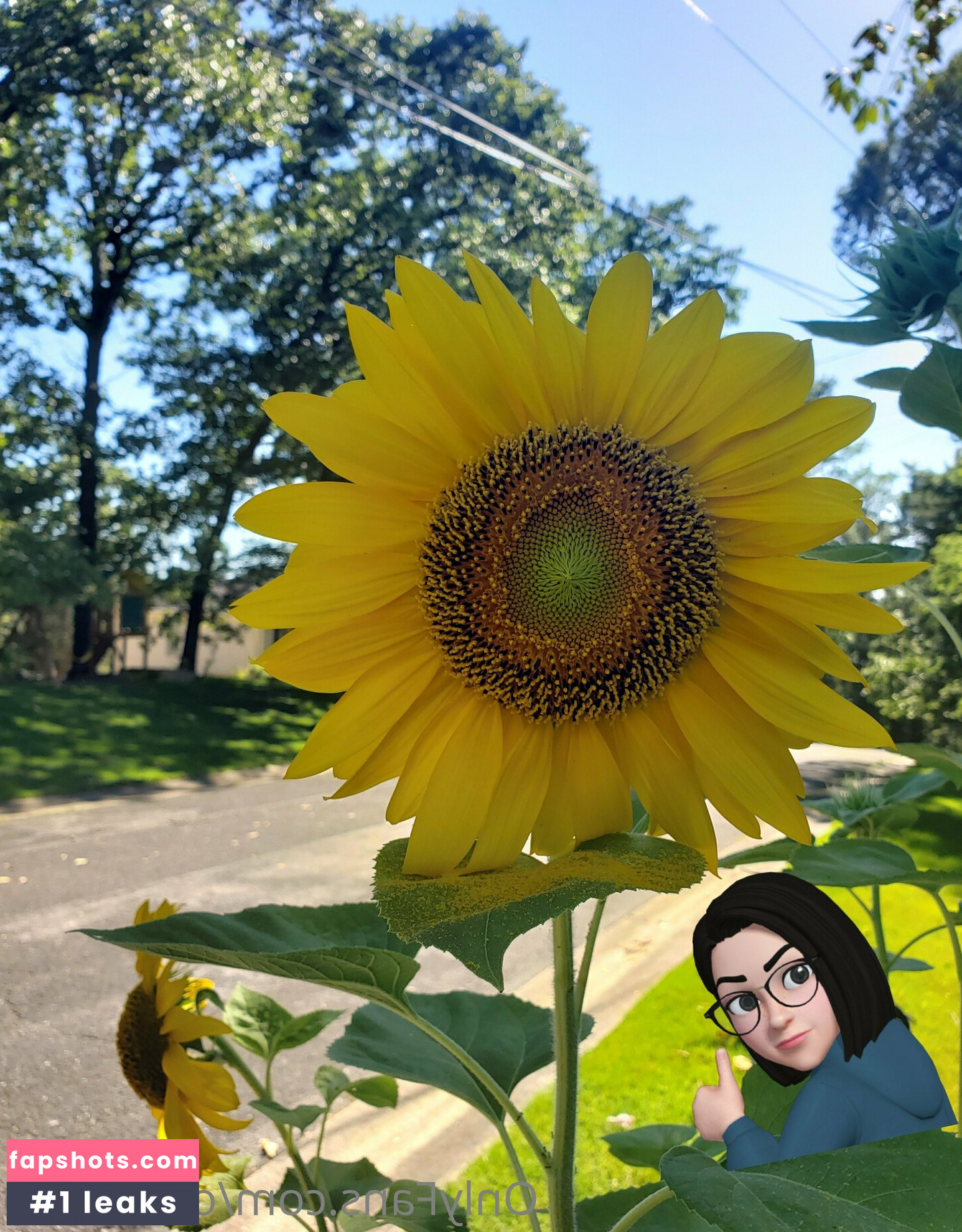 ocuriouso gallery photo #18