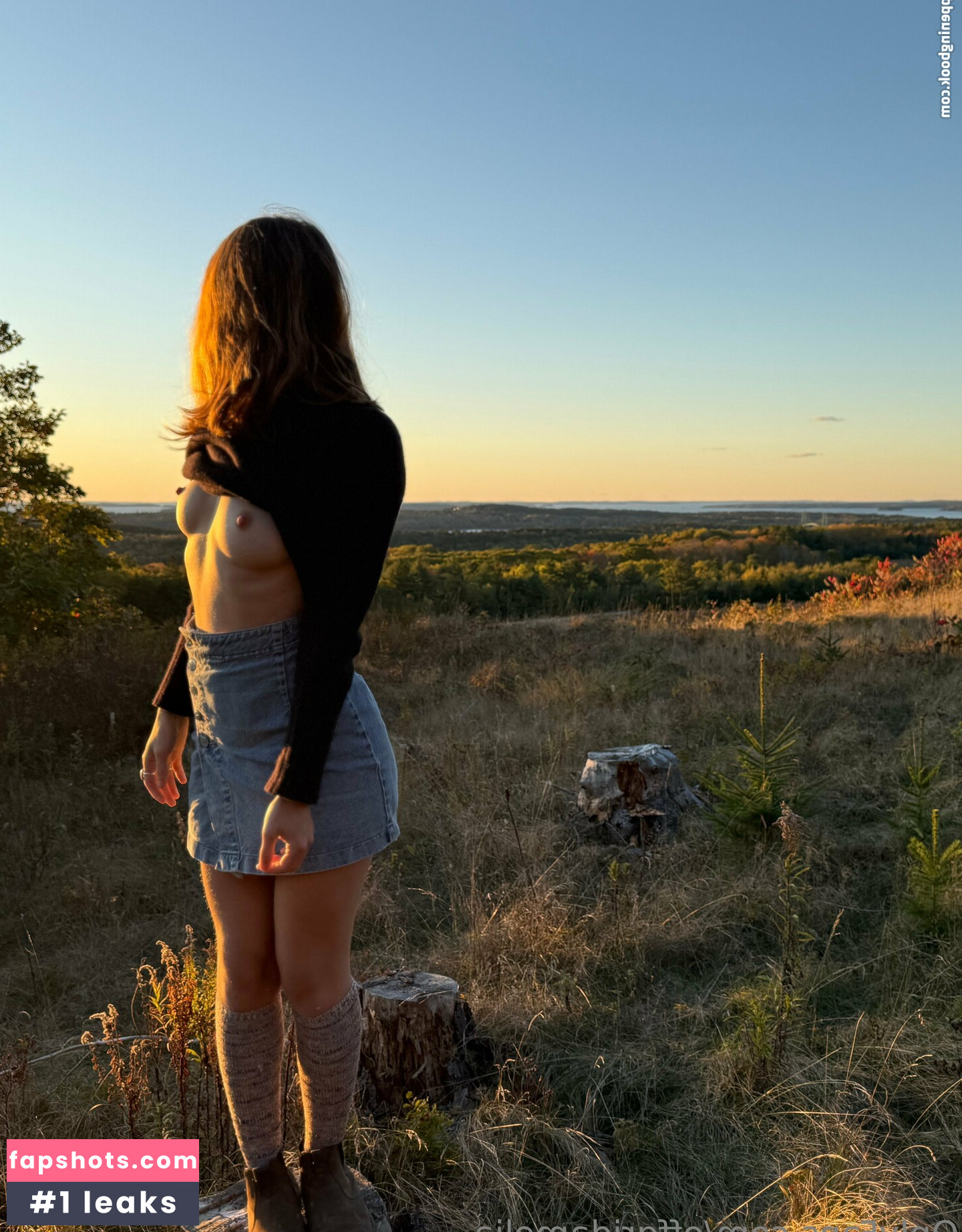 offgridamelia gallery photo #5