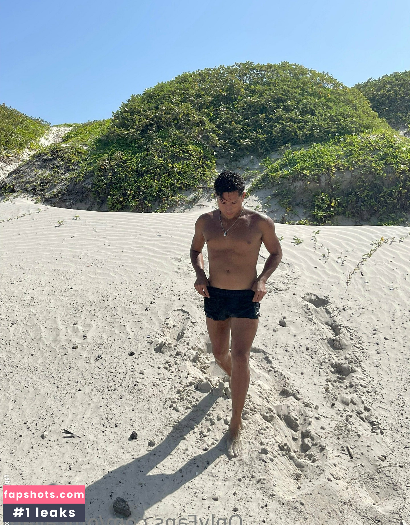 officailarq gallery photo #12