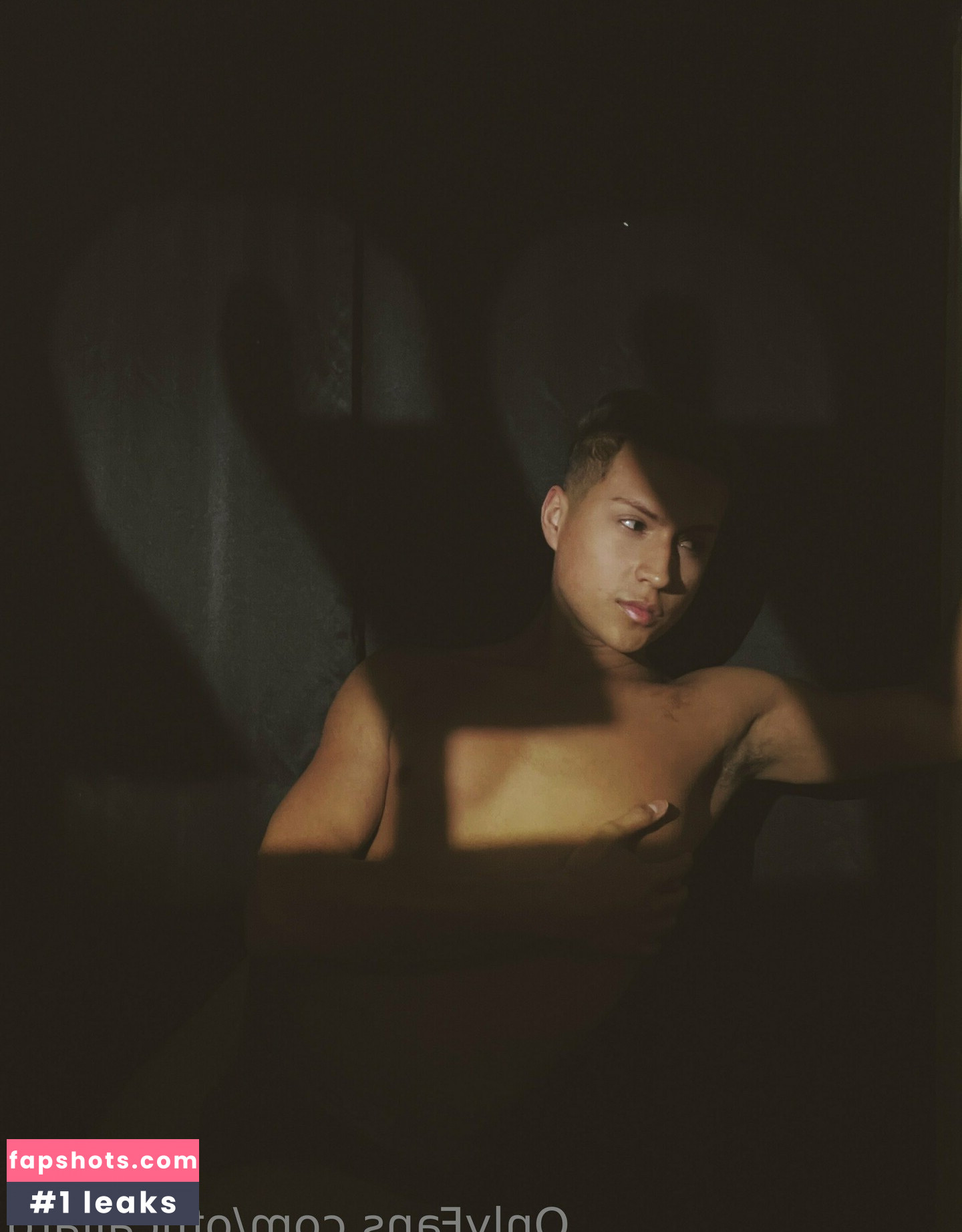 officailarq gallery photo #14