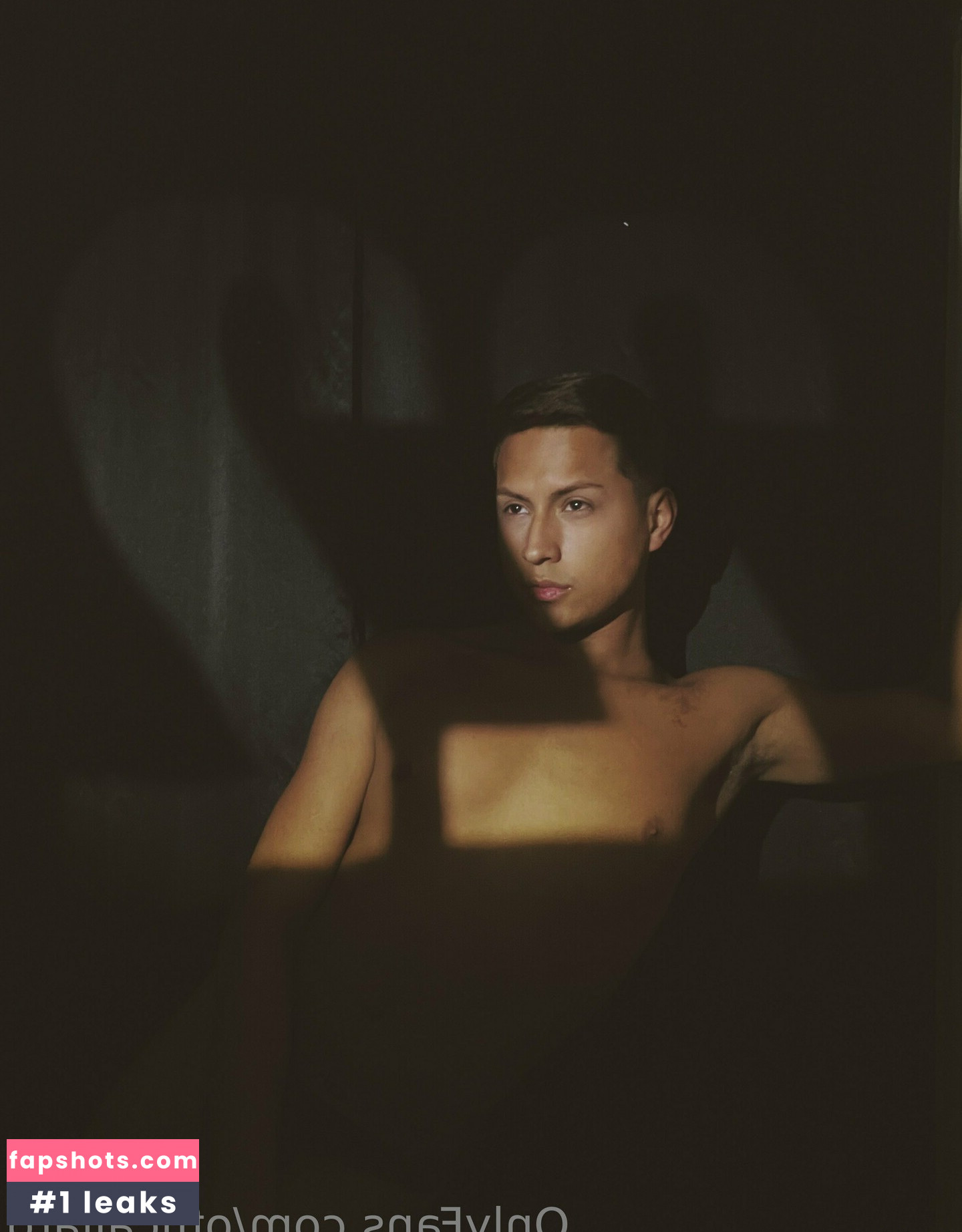 officailarq gallery photo #6