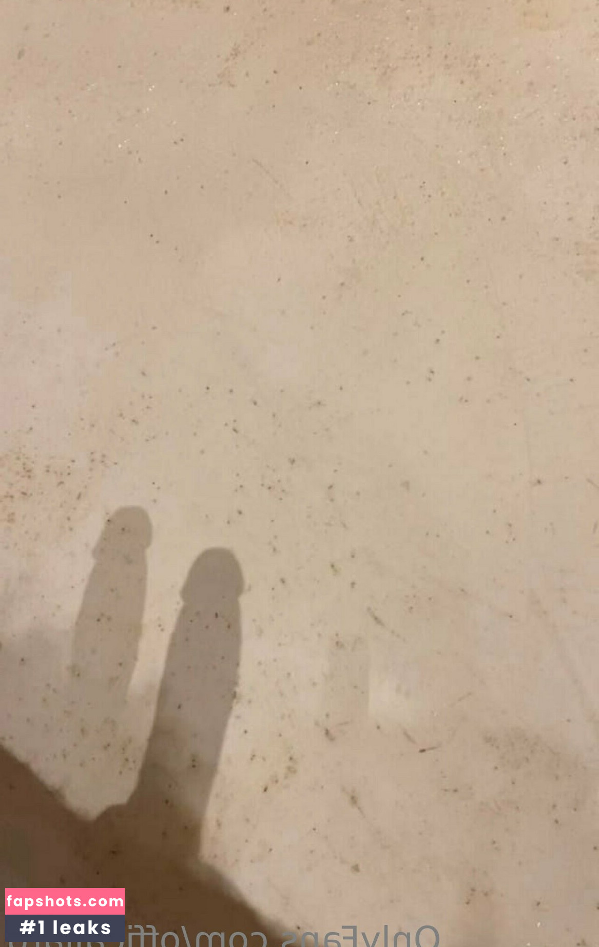 officailarq gallery photo #9